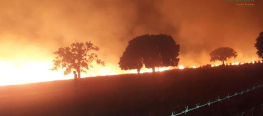 Detalle nocturno del incendio en Retuerta del Bullaque