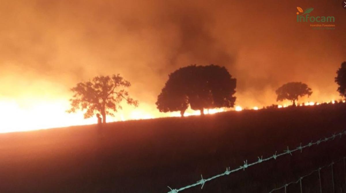 Detalle nocturno del incendio en Retuerta del Bullaque