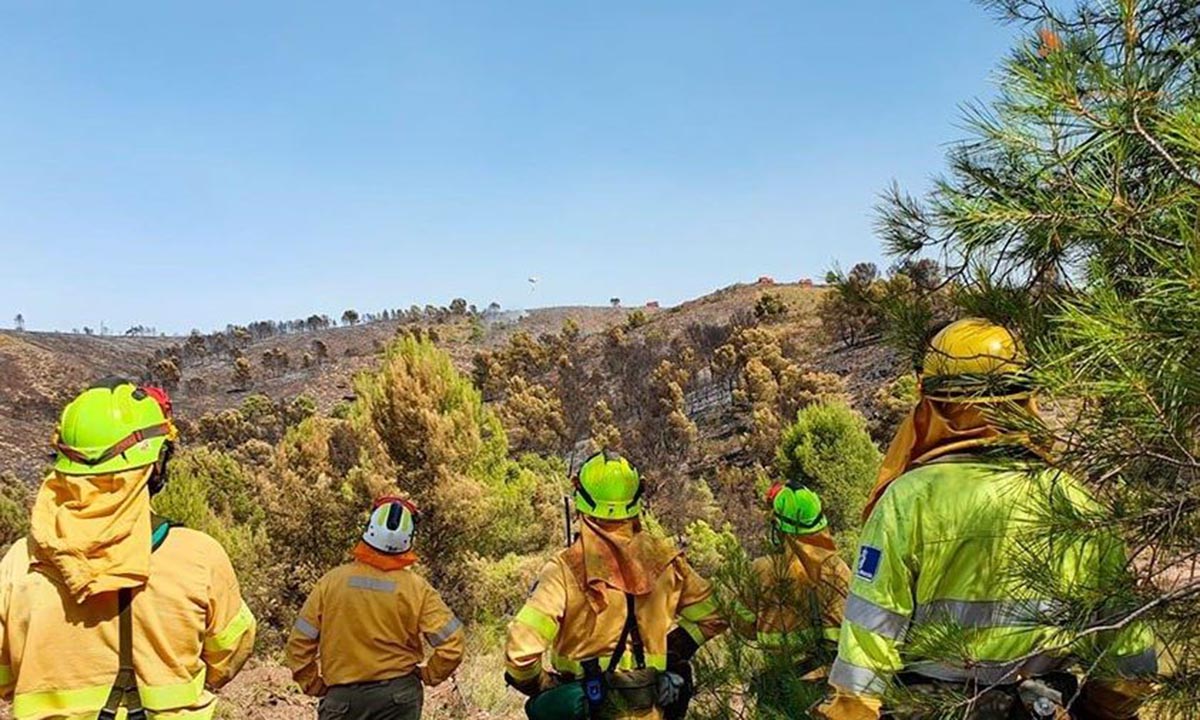 Bomberos en el incendio de Férez (Albacete)