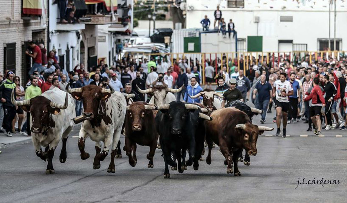 Este año no podrá ser. Los encierros de Villaseca de la Sagra se han suspendido.