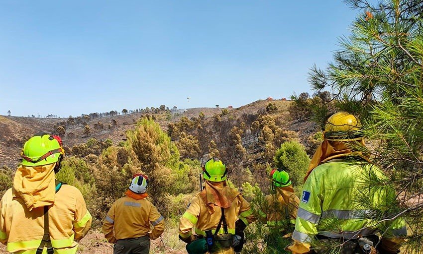 Bomberos forestales del Plan Infocam en las tareas de extinción del incendio de Férez.