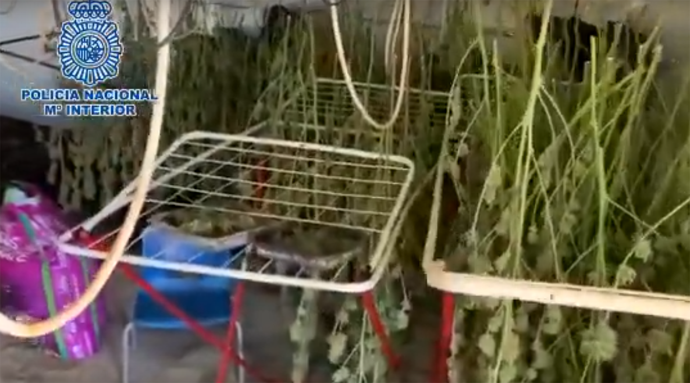 La marihuana se cultivaba en el interior de una vivienda de Méntrida.