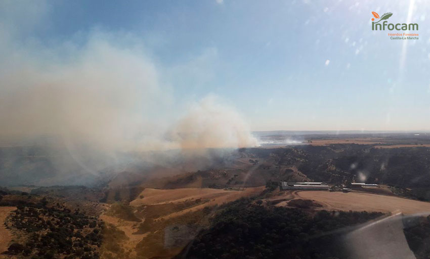Imagen del incendio forestal de Las Herencias.