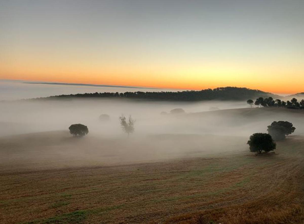 Niebla en un amanecer de Castilla-La Mancha