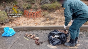 Imagen de los restos óseos de los animales y la alcantarilla donde se encontraron.