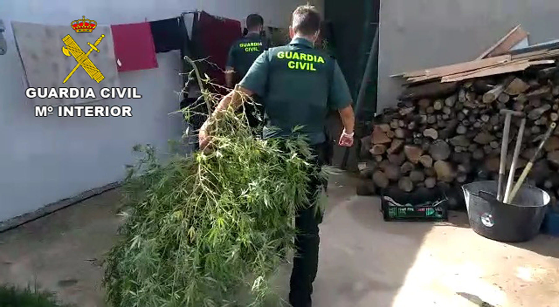 La Guardia Civil ha desmantelado 13 cultivos de marihuana en Ciudad Real.