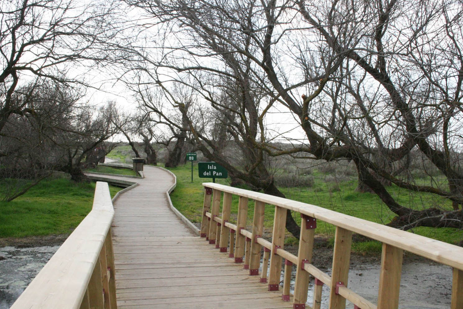 Las Tablas de Daimiel están prácticamente secas.