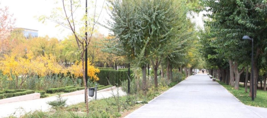 Parque de las Tres Culturas, imagen facilitada por la Aemet, que pronostica cielos cubiertos