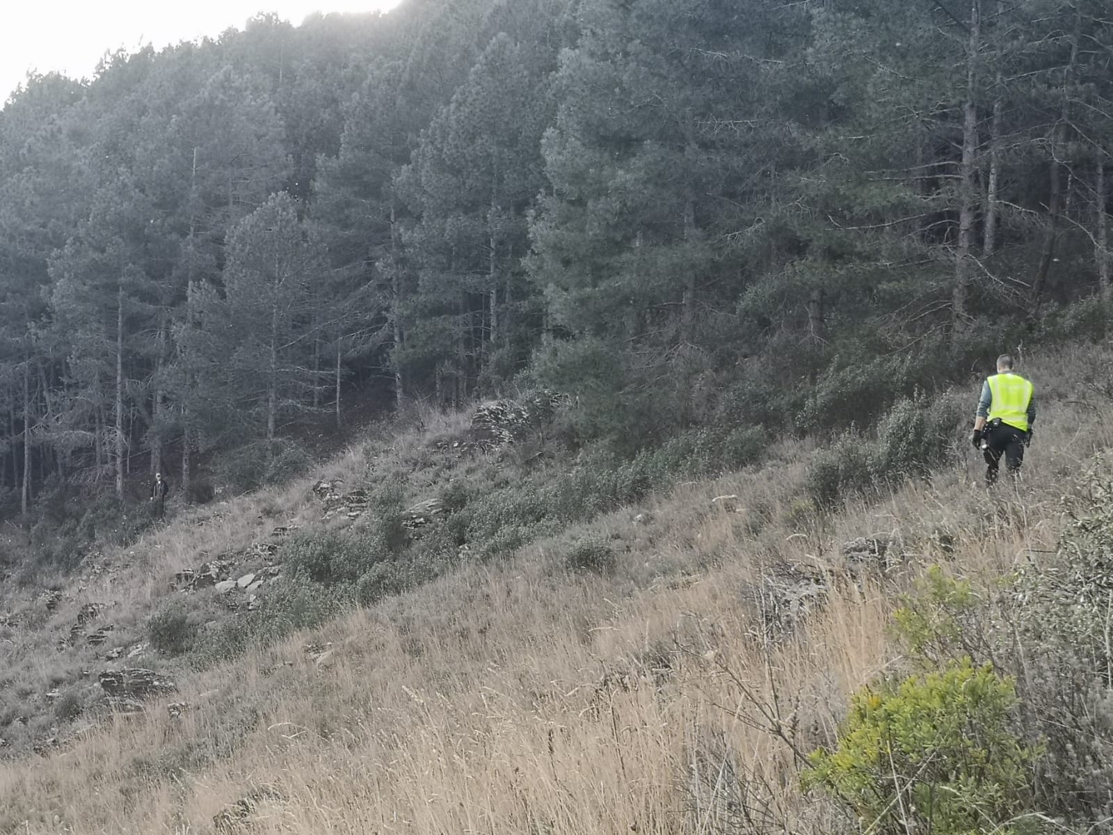 La Guardia Civil buscando al hombre desorientado en Guadalajara.