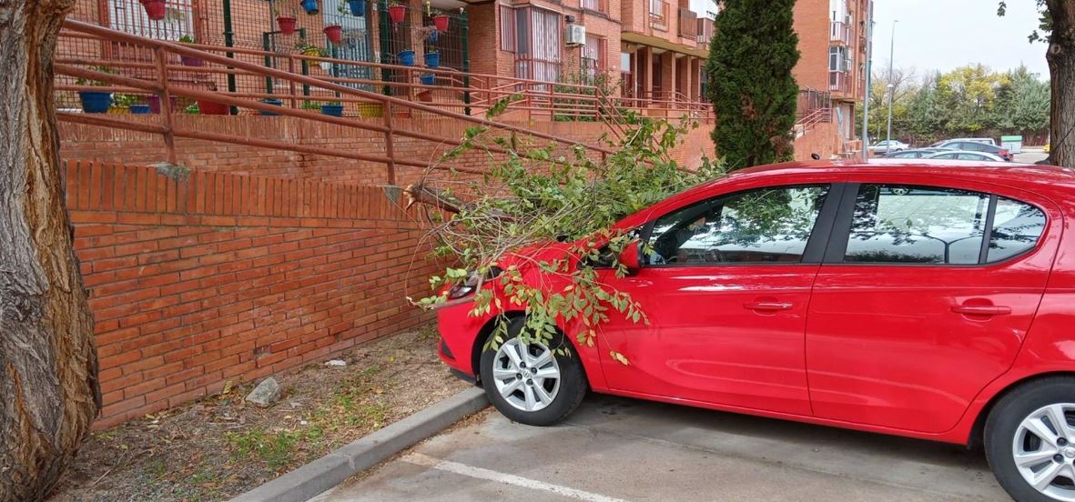 Un efecto de los fuertes viento y lluvia en Toledo durante el fin de semana