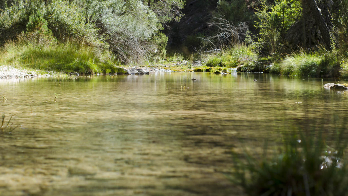 El Tajo Dorado, en el tramo del río que forma el Parque Natural del Alto Tajo.