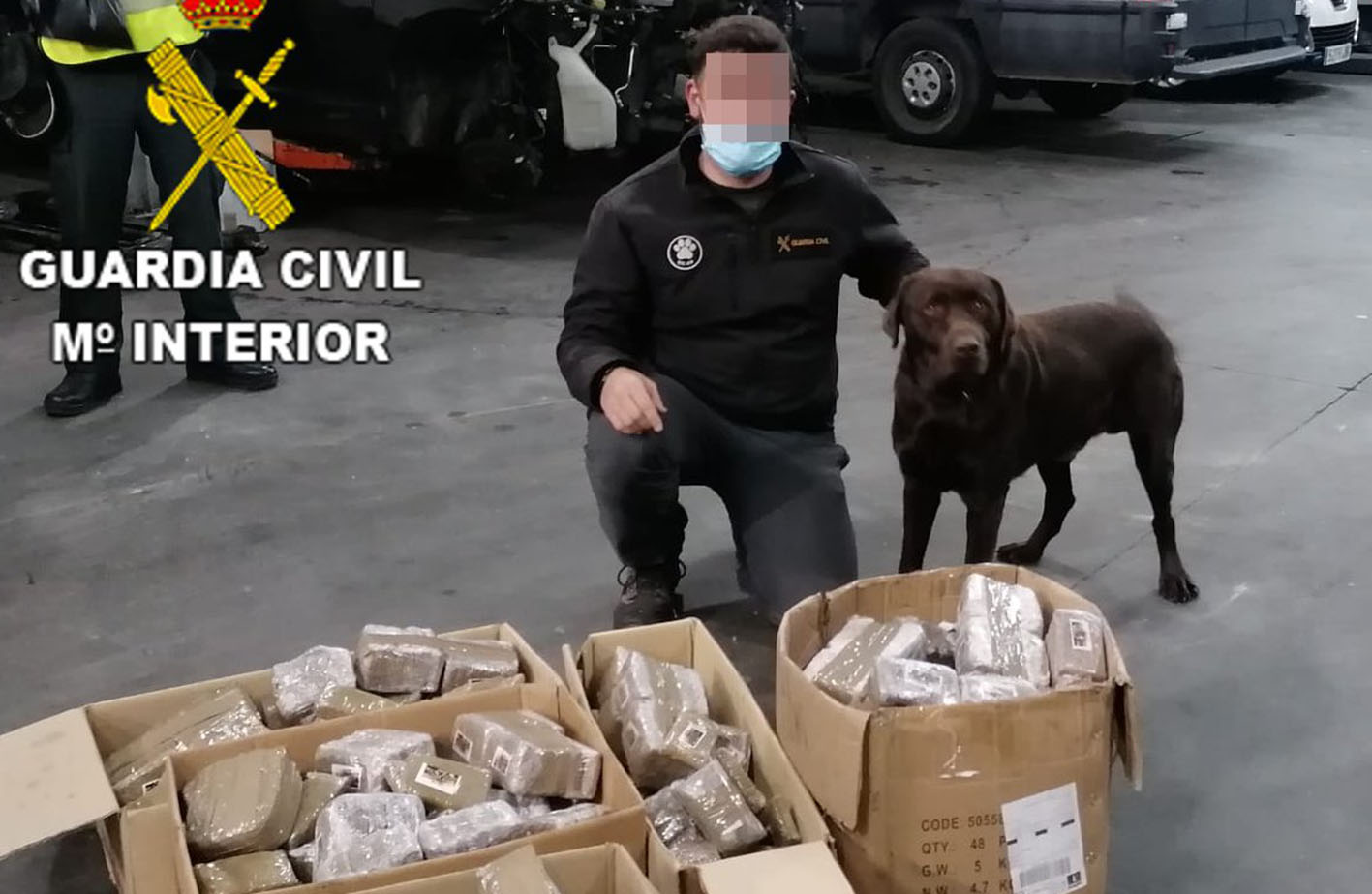 La droga fue detectada por uno de los perros policía. Y tuvieron que desmontar el chasis para llegar hasta ella.