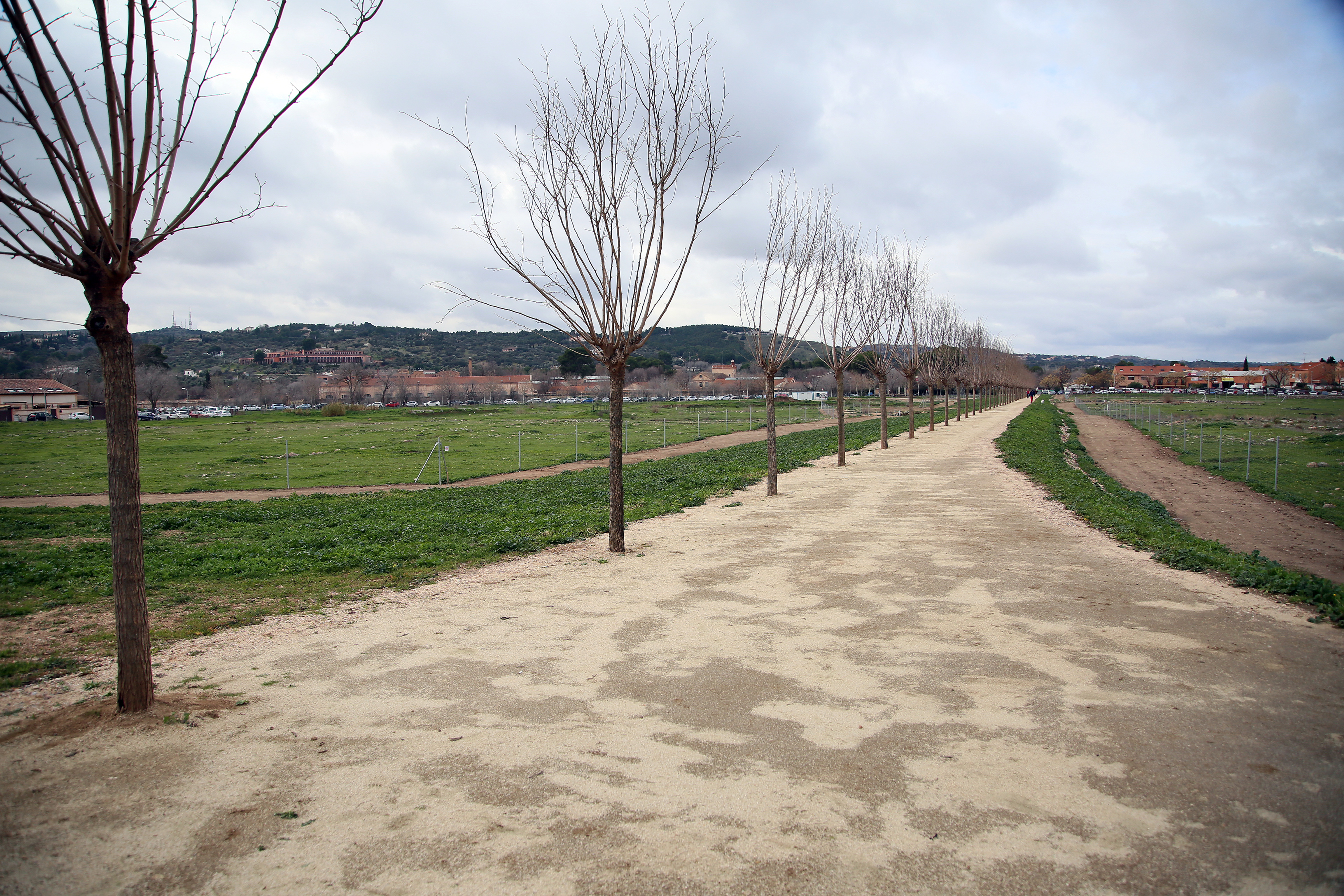 Paisaje de la Senda de las Moreras