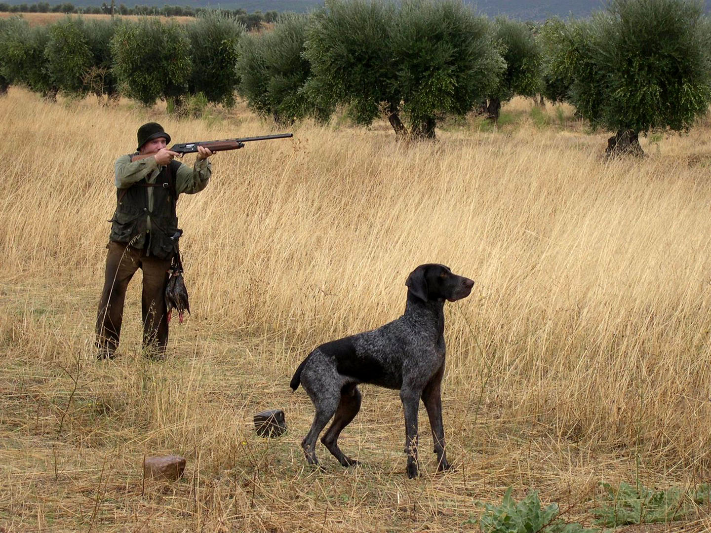 Proanimal cuestiona las medidas en el sector de la caza con las nuevas restricciones. caza,