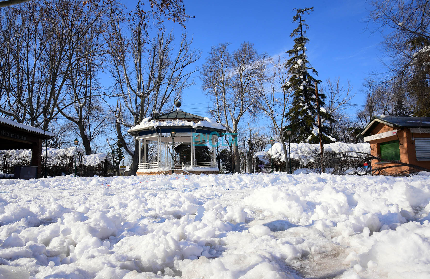 El parque de la Vega, en Toledo, durante la nevada de Filomena en enero pasado. Foto: Rebeca Arango.