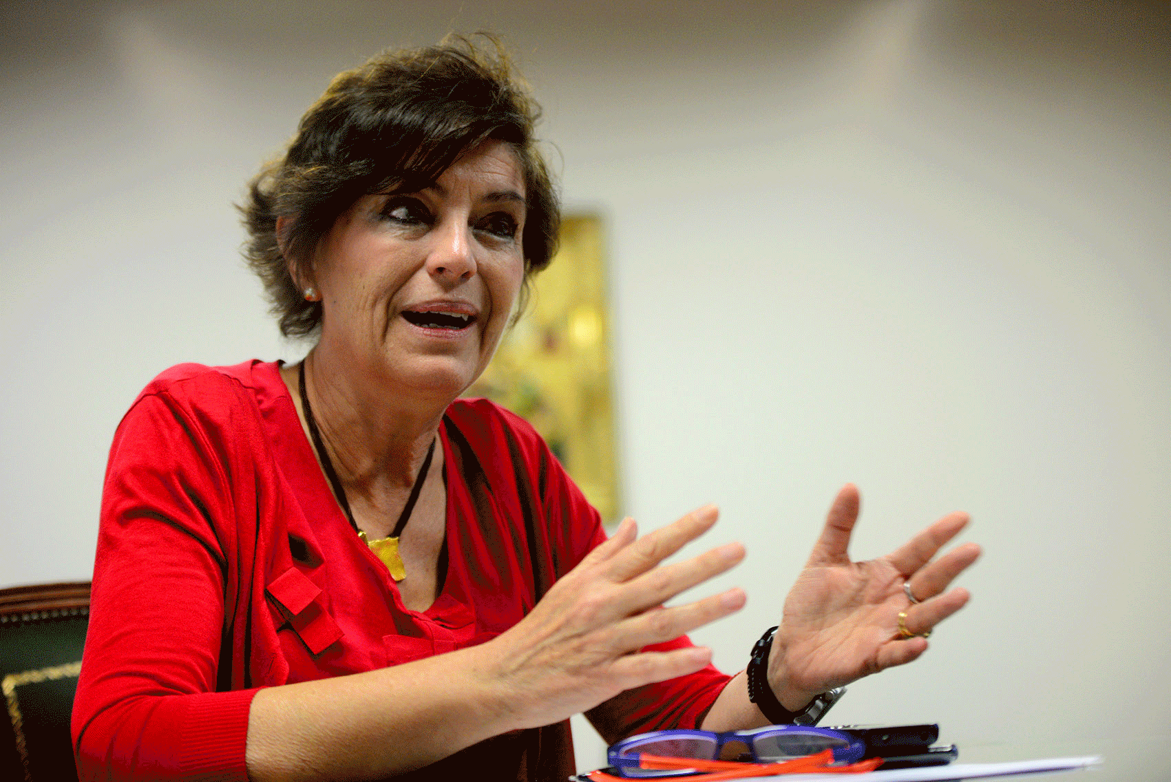 Natividad Laín, presidenta del Colegio de Médicos de Toledo.