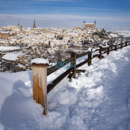 Nieve Toledo