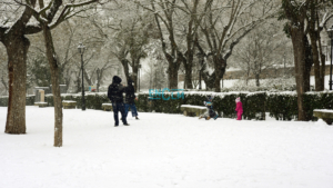 La nieve, qué bonita durante las primeras horas...