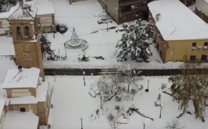 Cobisa bajo la nieve.
