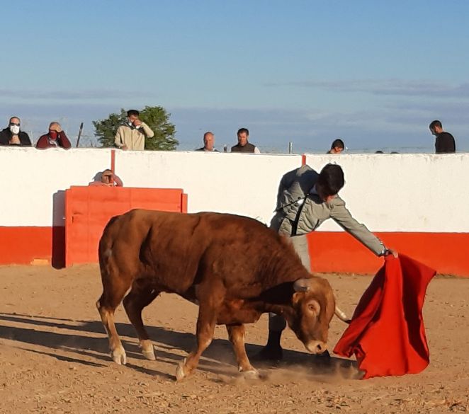 Imagen de archivo. antitaurino