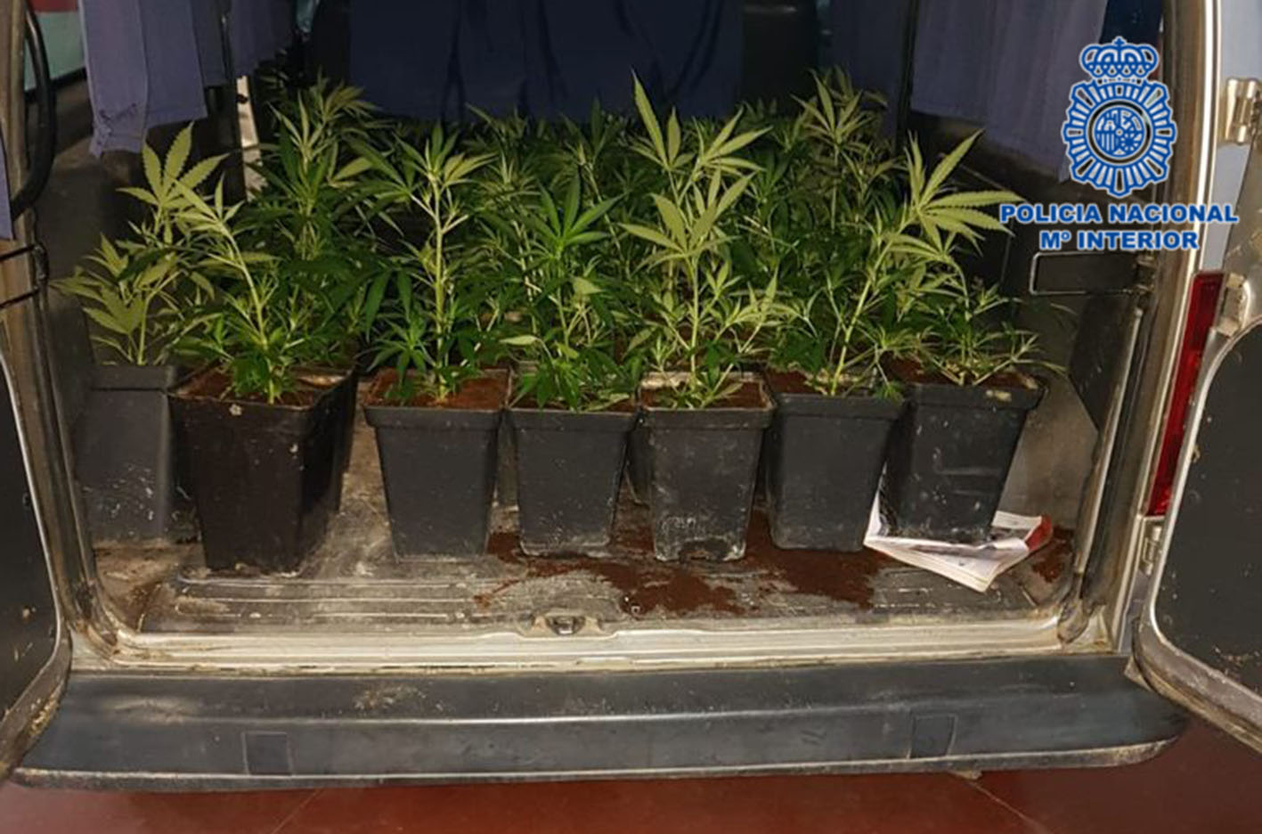 La furgoneta en la que iban padre e hijo, en Talavera, estaba cargada con 26 plantas de marihuana.