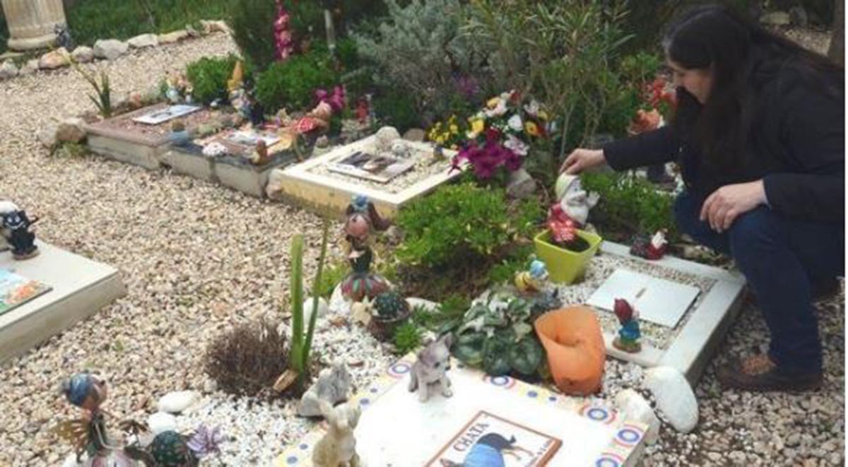 Piden un cementerio de mascotas en Puertollano