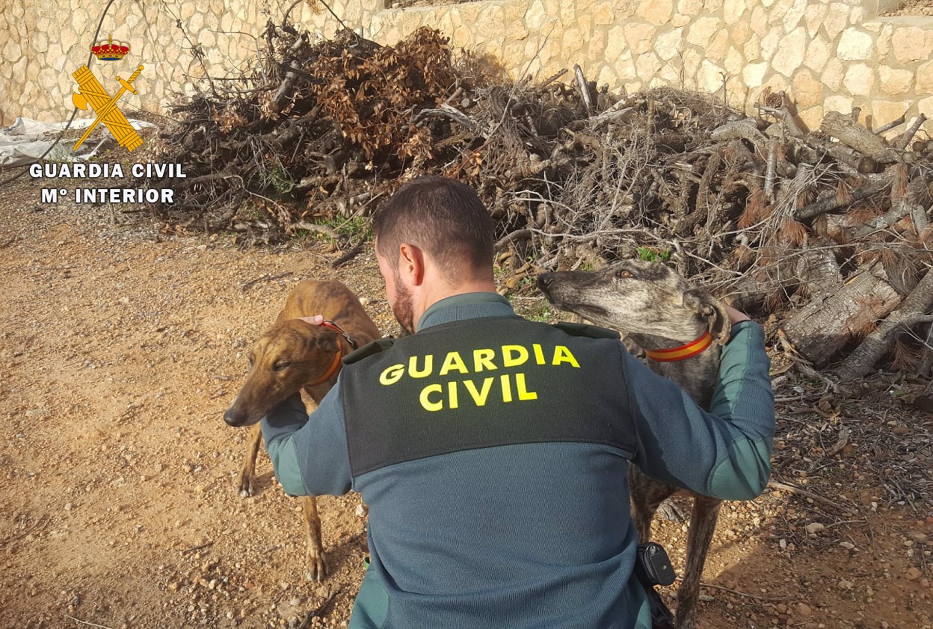 La Guardia Civil ha desarrollado una operación que se ha saldado con nueve detenidos por caza furtiva.