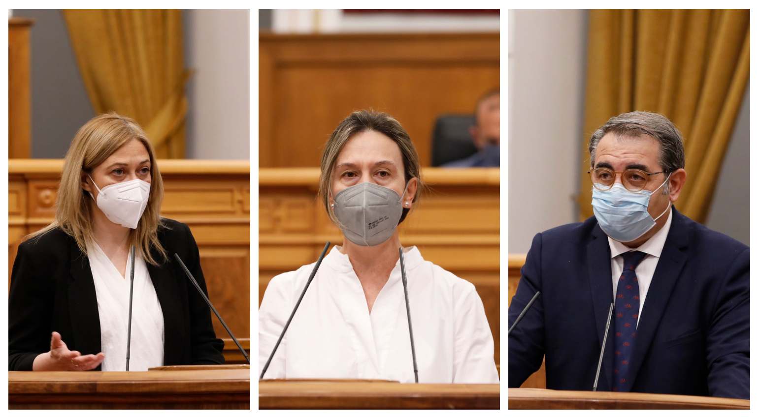 Carmen Picazo, Ana Guarinos y Jesús Fernández Sanz. pleno gestión de la pandemia