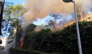 Incendio en el Parque de La Vega de Toledo