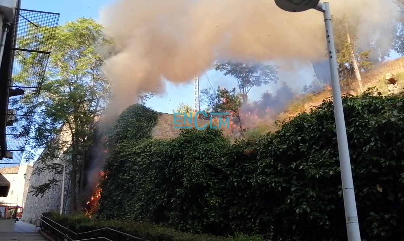 Incendio en el Parque de La Vega de Toledo