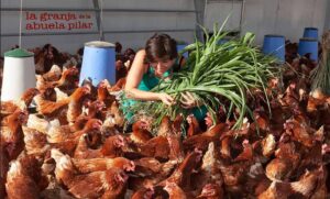 Rosana Pérez y sus gallinas