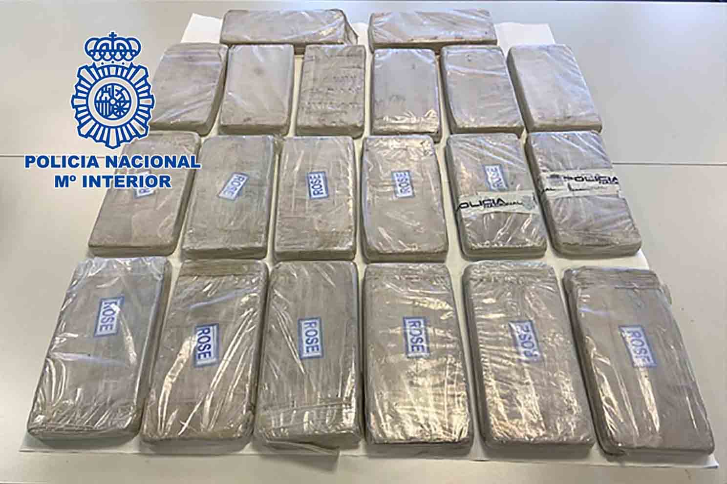 Agentes de la Policía Nacional, en el marco de la operación “Nessun Dorma” coordinada por el Juzgado de Instrucción número 1 de Alcalá de Henares,