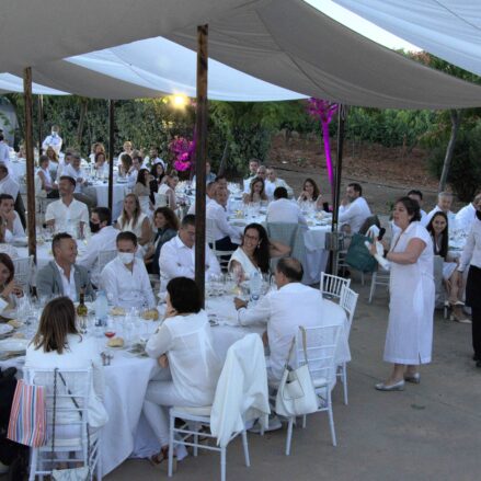 Cenas en blanco contra la ELA