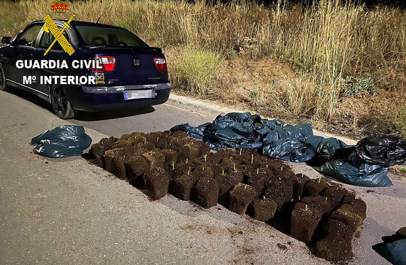 El maletero del coche iba hasta arriba de marihuana.