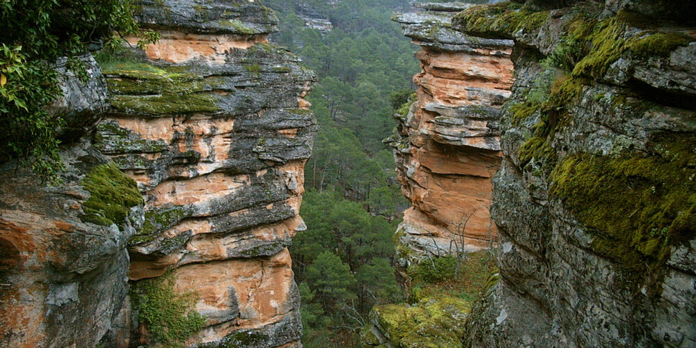 Parque Natural del Alto Tajo, una de las muchas bellezas naturales que se pueden ver en Castilla-La Mancha.