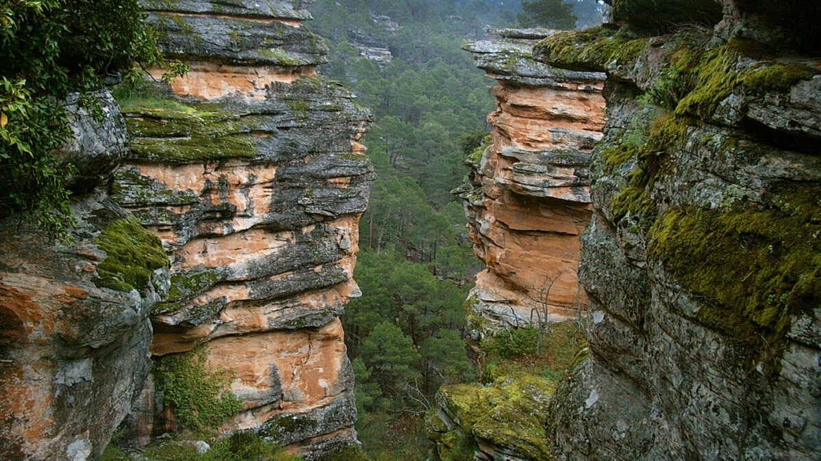 Parque Natural del Alto Tajo, una de las muchas bellezas naturales que se pueden ver en Castilla-La Mancha.