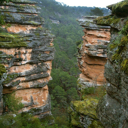 Parque Natural del Alto Tajo, una de las muchas bellezas naturales que se pueden ver en Castilla-La Mancha.