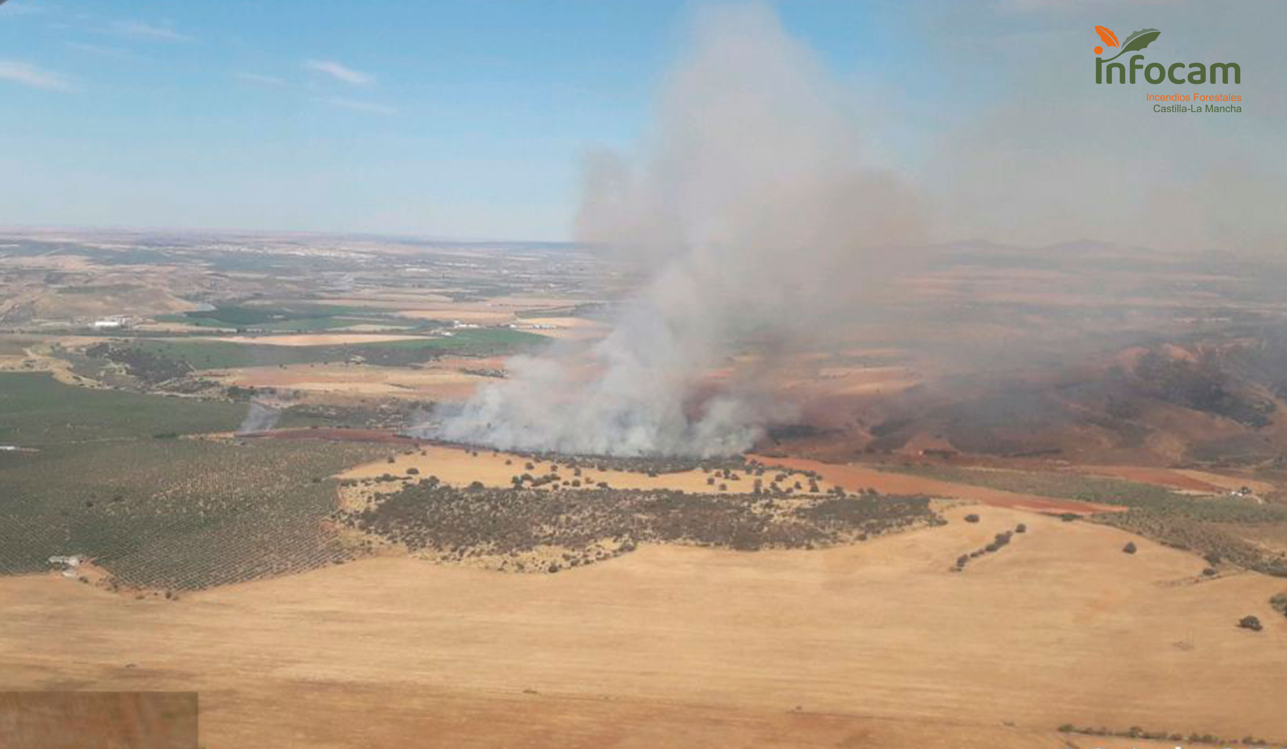 Incendio en El Carpio de Tajo.