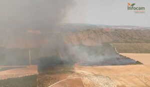 Detalle del incendio de Tobarra. Foto: Infocam