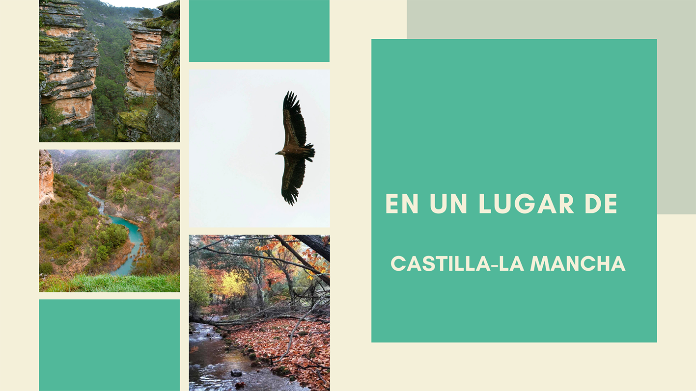 En un lugar de Castilla-La Mancha… Viaja por los parques nacionales y naturales de la región y… ¡Alucinarás!