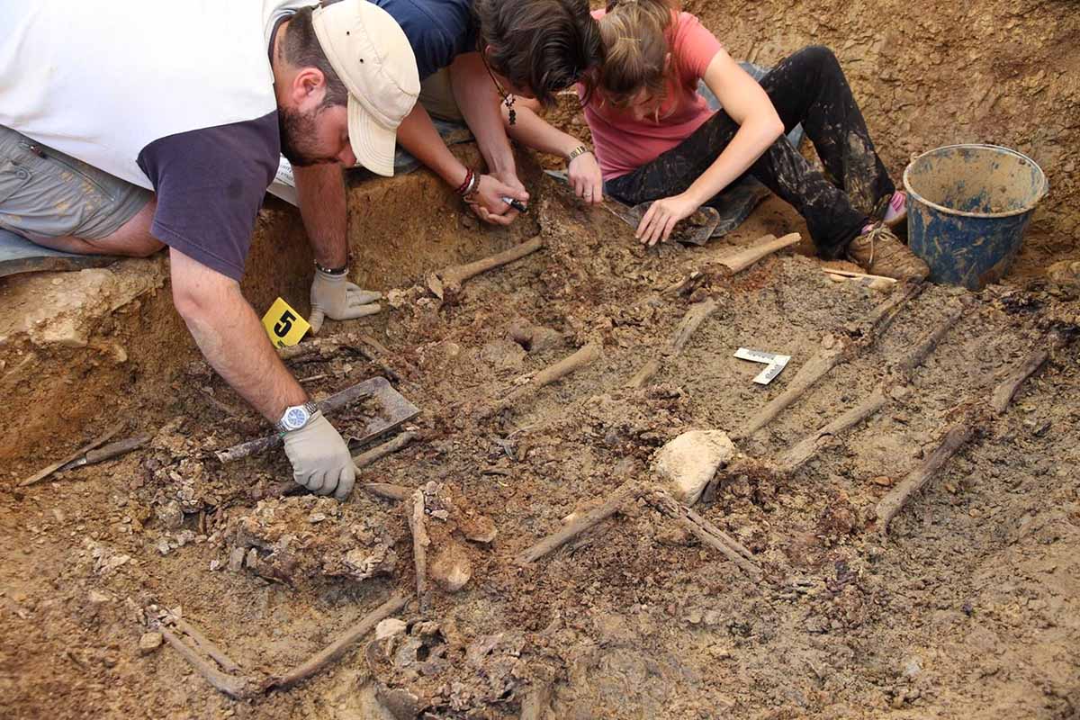 Excavación en La Puebla de Don Rodrigo