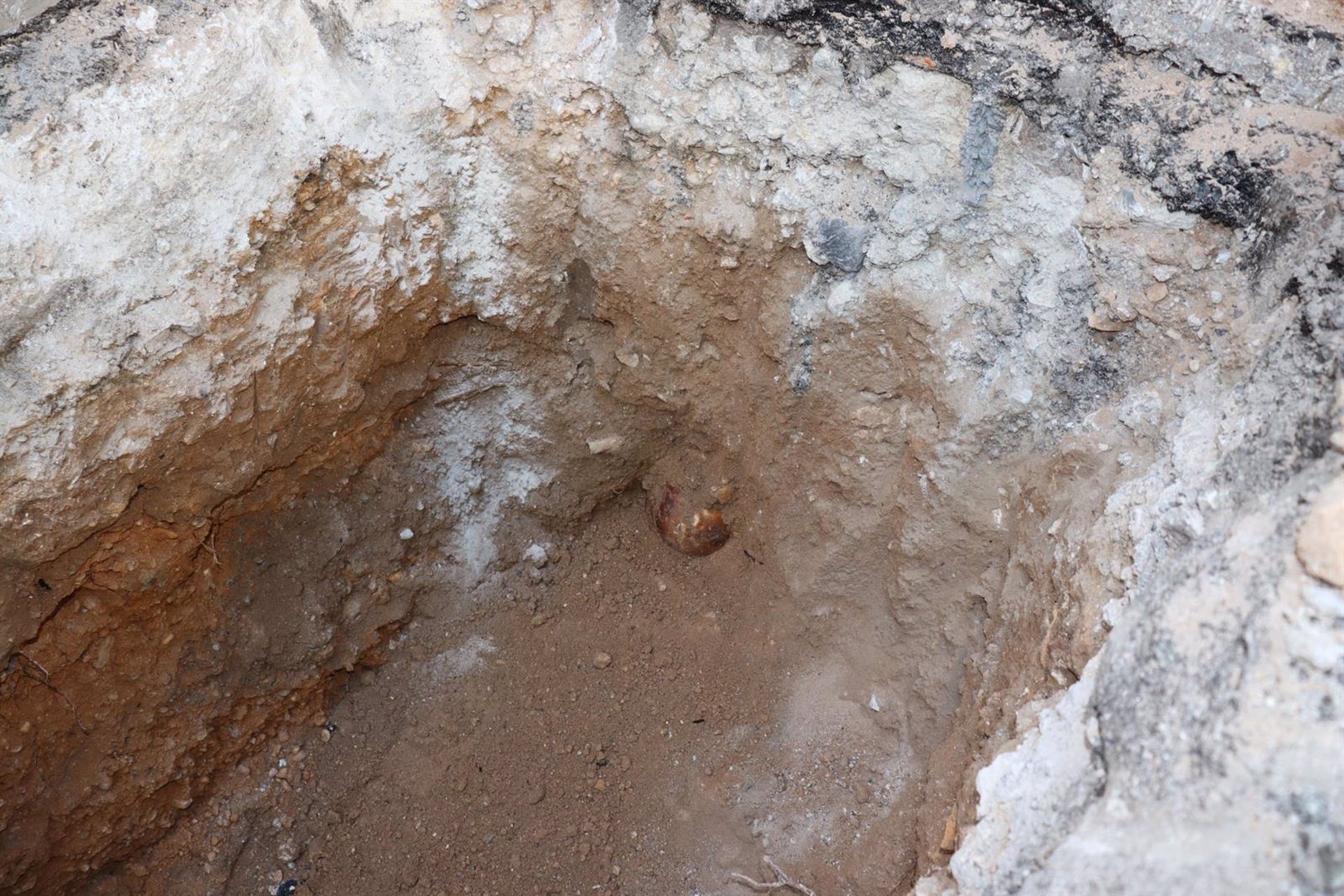 Restos óseos encontrados en las obras en la Plaza del Altozano de Albacete
