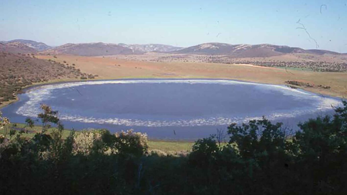 Laguna de MIchos.