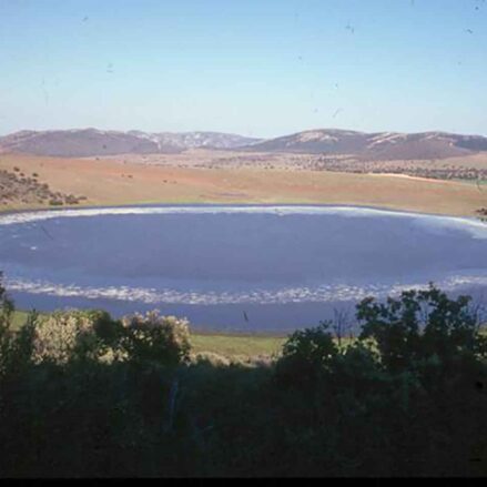 Laguna de MIchos.