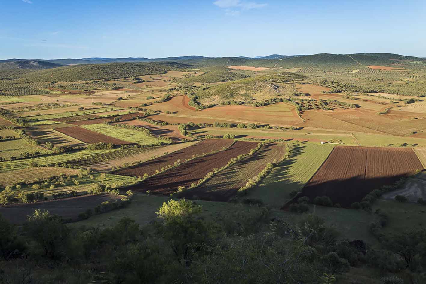 Paisaje desde el Volcán de Piedrabuena.