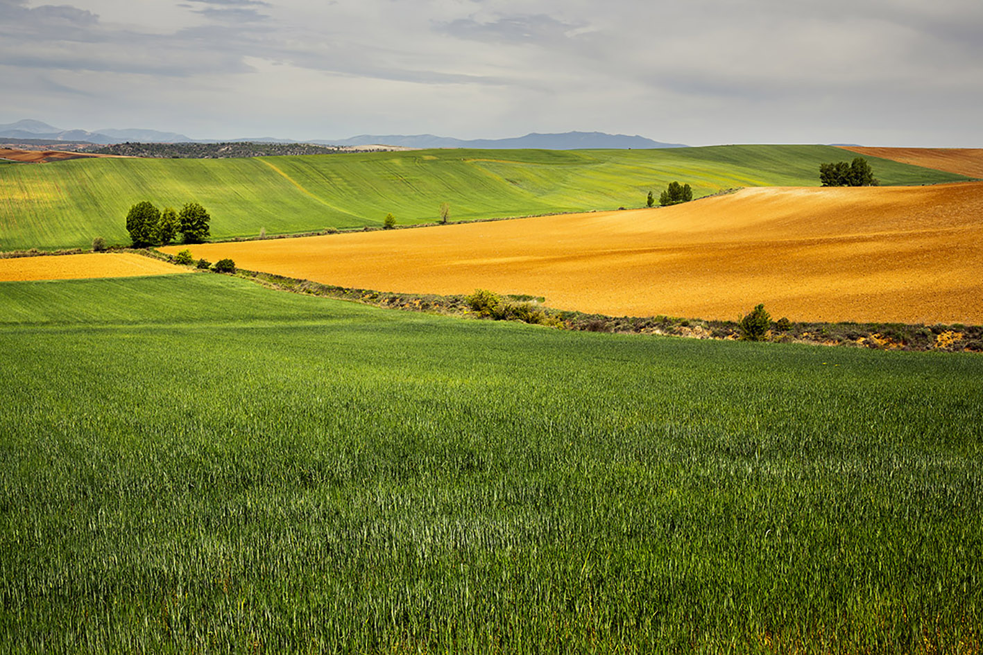 Campos de la Alcarria en la guía de Lonely Planet