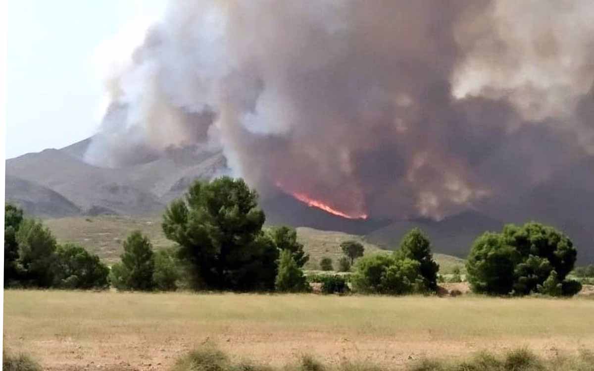 Incendio en la provincia de Albacete. Foto: @selopezmanuel