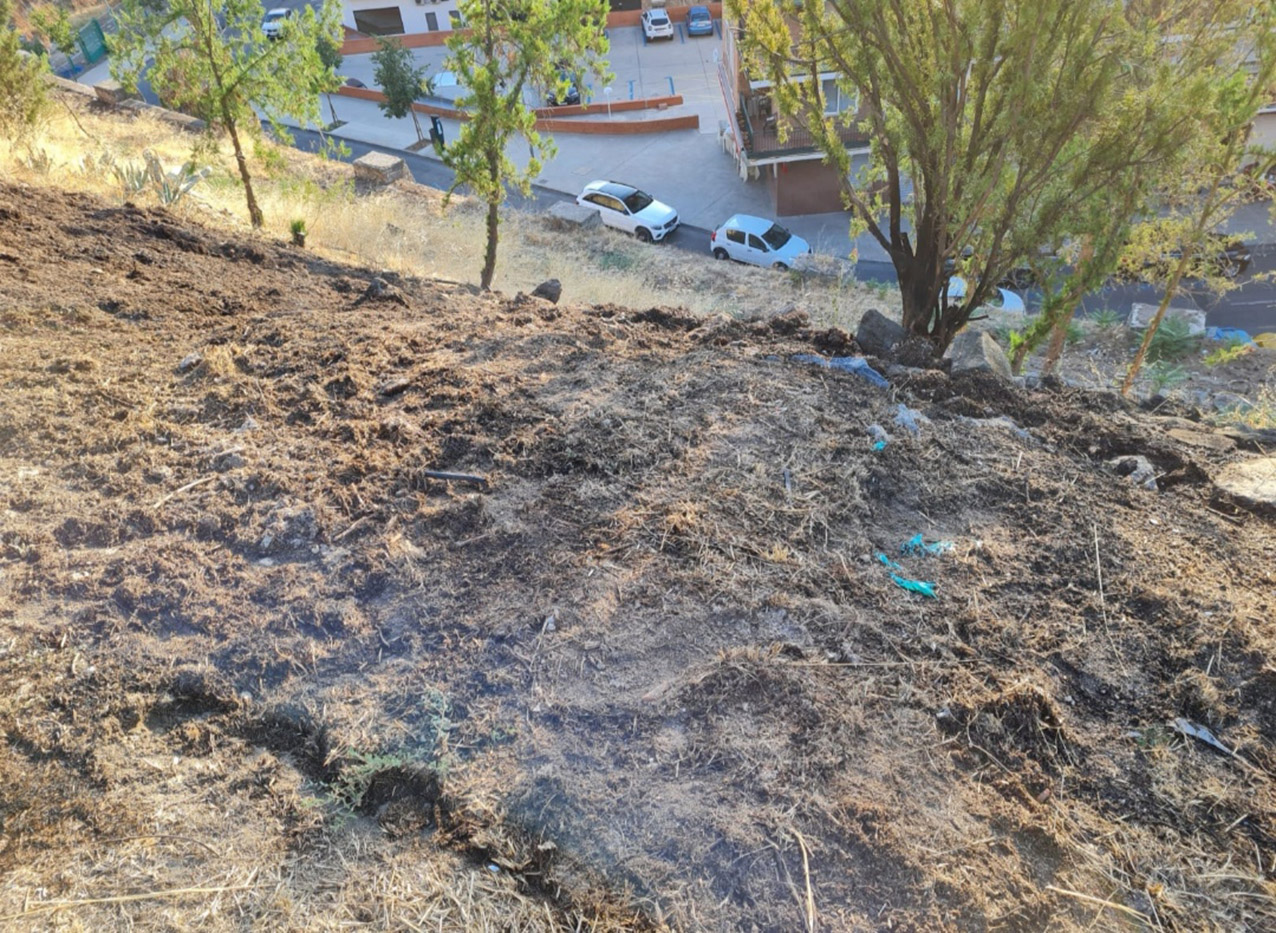 Las llamas han quemado unos 100 metros cuadrados y se busca al culpable.