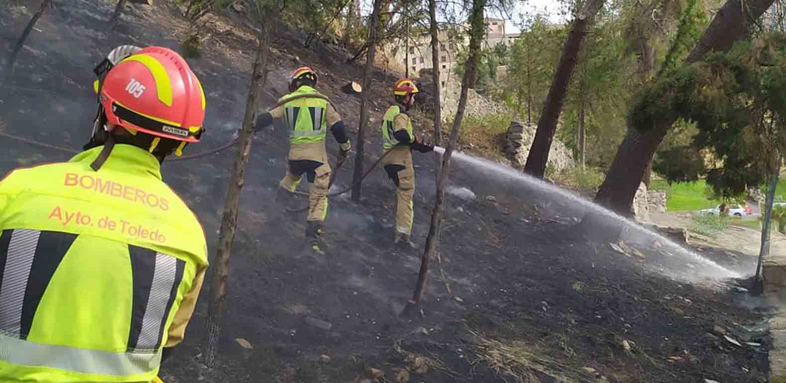 Incendio en el Parque de la Vega, en Toledo. Foto: Bomberos de Toledo.