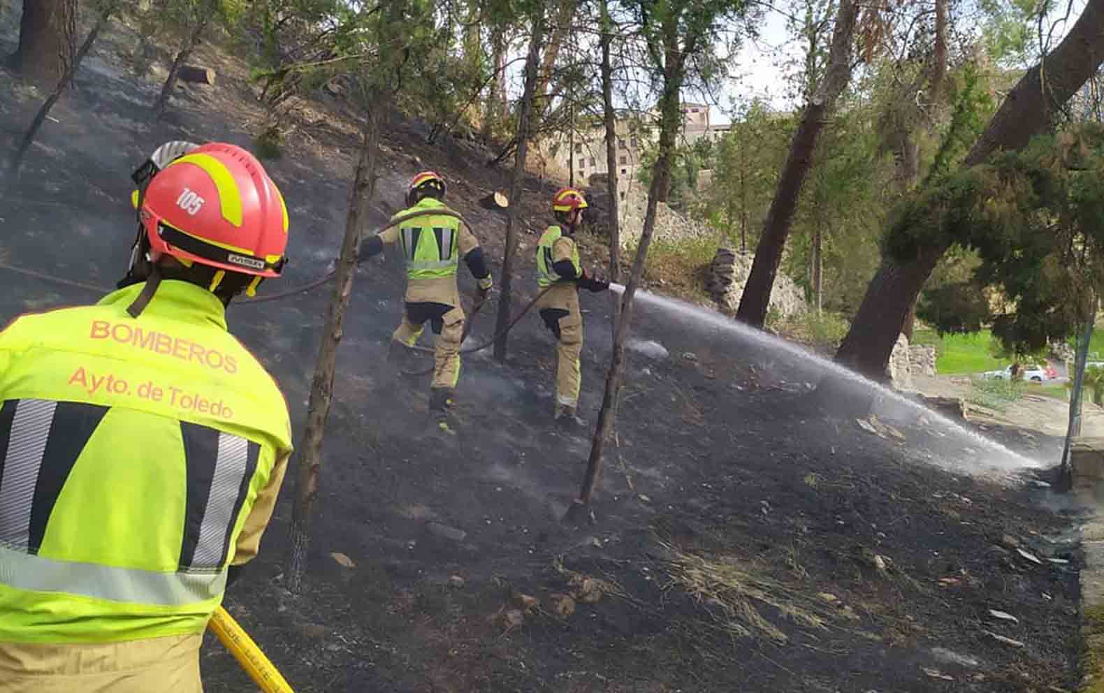 Incendio en el Parque de la Vega, en Toledo. Foto: Bomberos de Toledo.